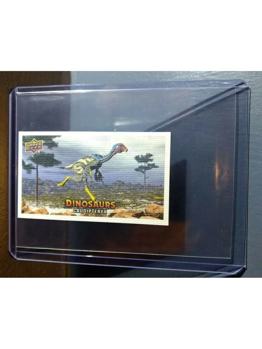 2015 Upper Deck Dinosaurs Canvas Mini Caudipteryx #43 Trading Card